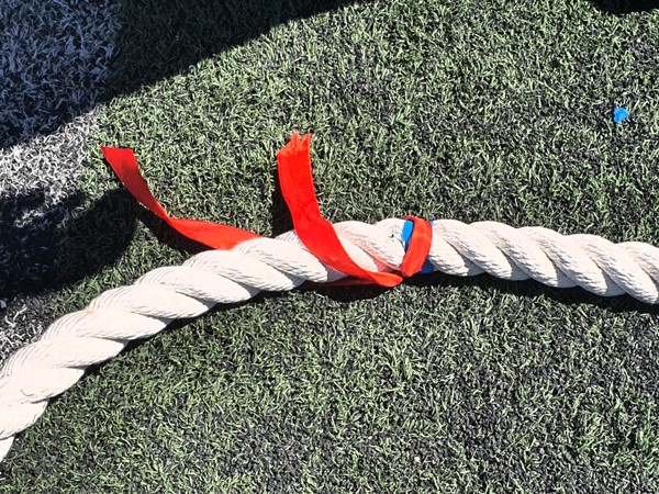 «Citius, Altius, Fortius!» (прим. «быстрее, выше, сильнее!»)